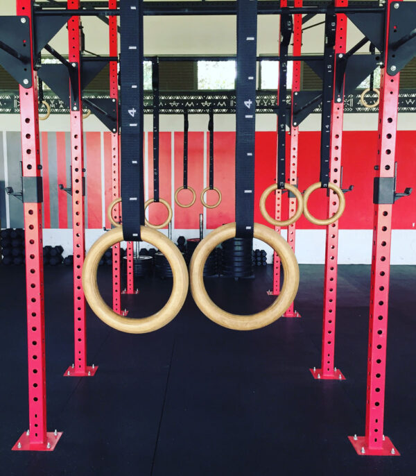 Gymnastic  Rings (with straps)